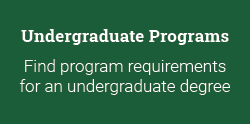 Link to Undergraduate Programs